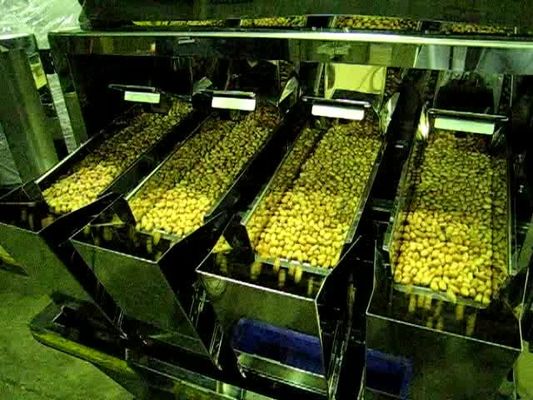 6500 γραμμάριο 4 επικεφαλής γραμμική Weigher μηχανή για τη σοκολάτα