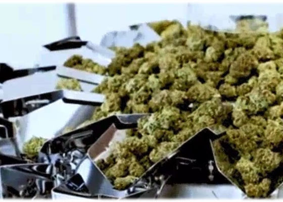 50 Weigher μικροϋπολογιστών ζυγίζοντας μηχανών Multihead οφθαλμών μαριχουάνα γραμμαρίου