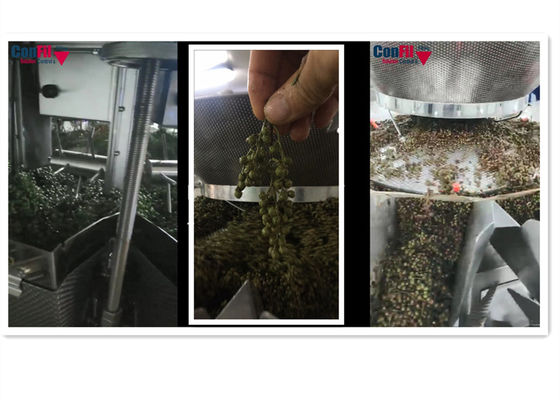Weigher Multihead ζυγίζοντας μηχανών Multihead για τη φυτική πράσινη τραχιά μηχανή πλήρωσης τέφρας αδιάβροχη