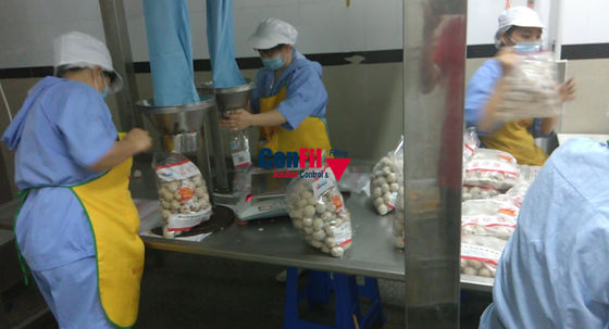 Weigher Multihead ζυγίζοντας μηχανών Multihead για τα παγωμένα τρόφιμα 2.5Kg συλλέγει με το χέρι
