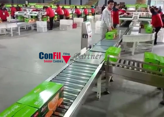 50 κομμάτια/μικρά 30 Weigher ελέγχου κλ μηχανών για τις περιπτώσεις κιβωτίων